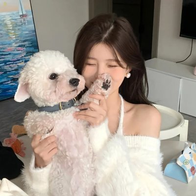 小鸟之翼第二季